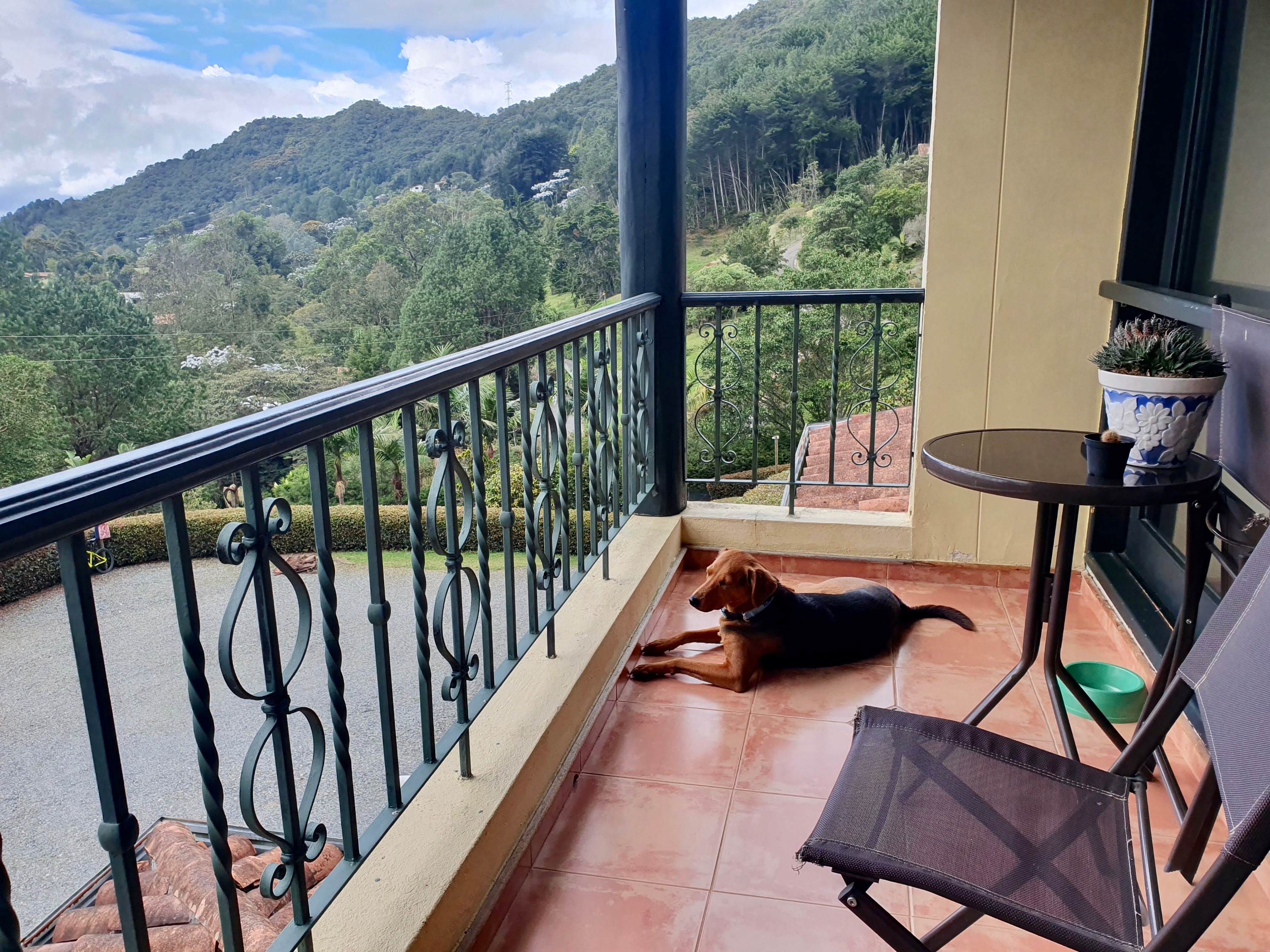 Finca en venta en El Tambo, La Ceja, 9400 m² · foto 12 de 24