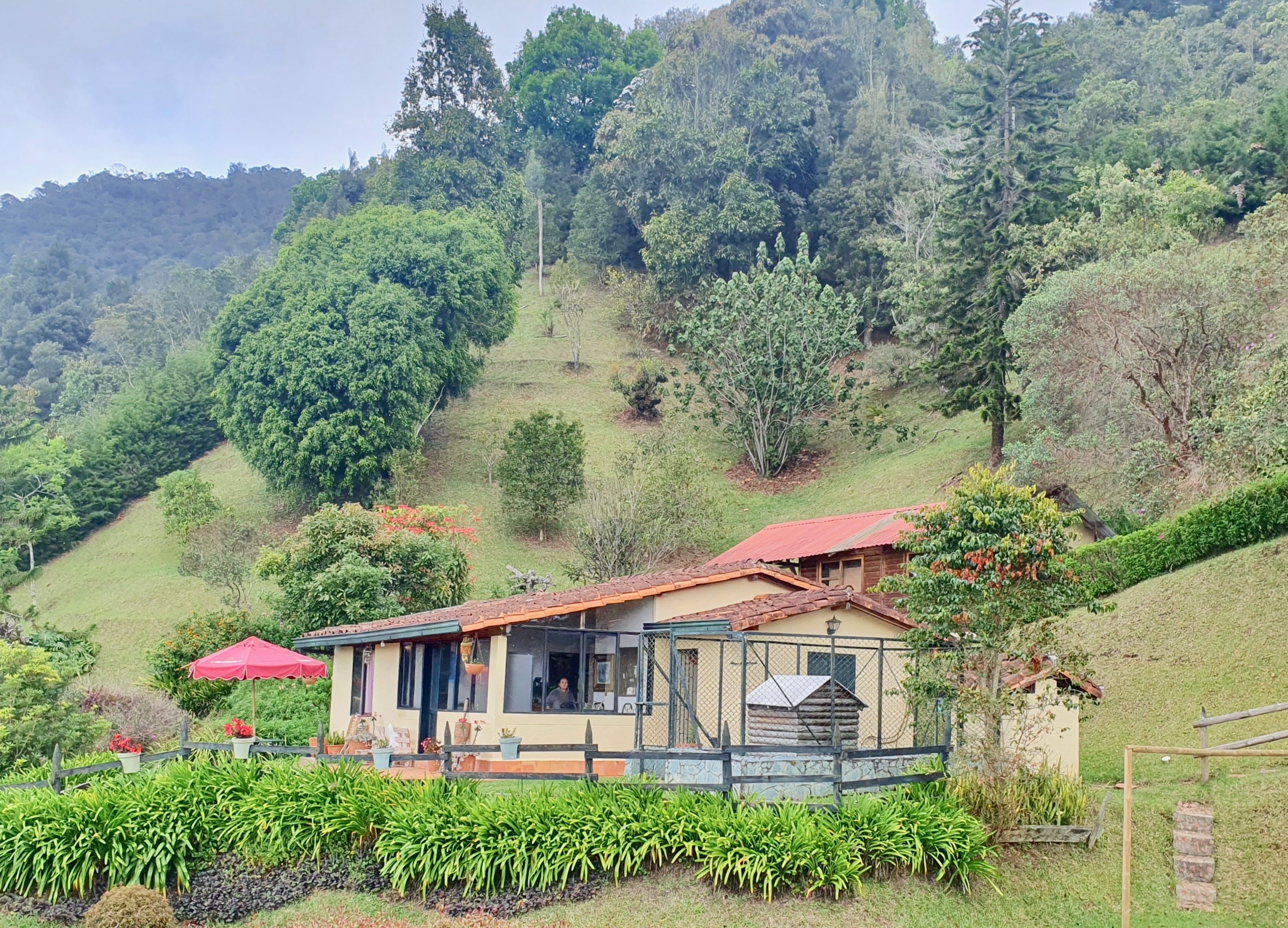 Finca en venta en El Tambo, La Ceja, 9400 m² · foto 18 de 24