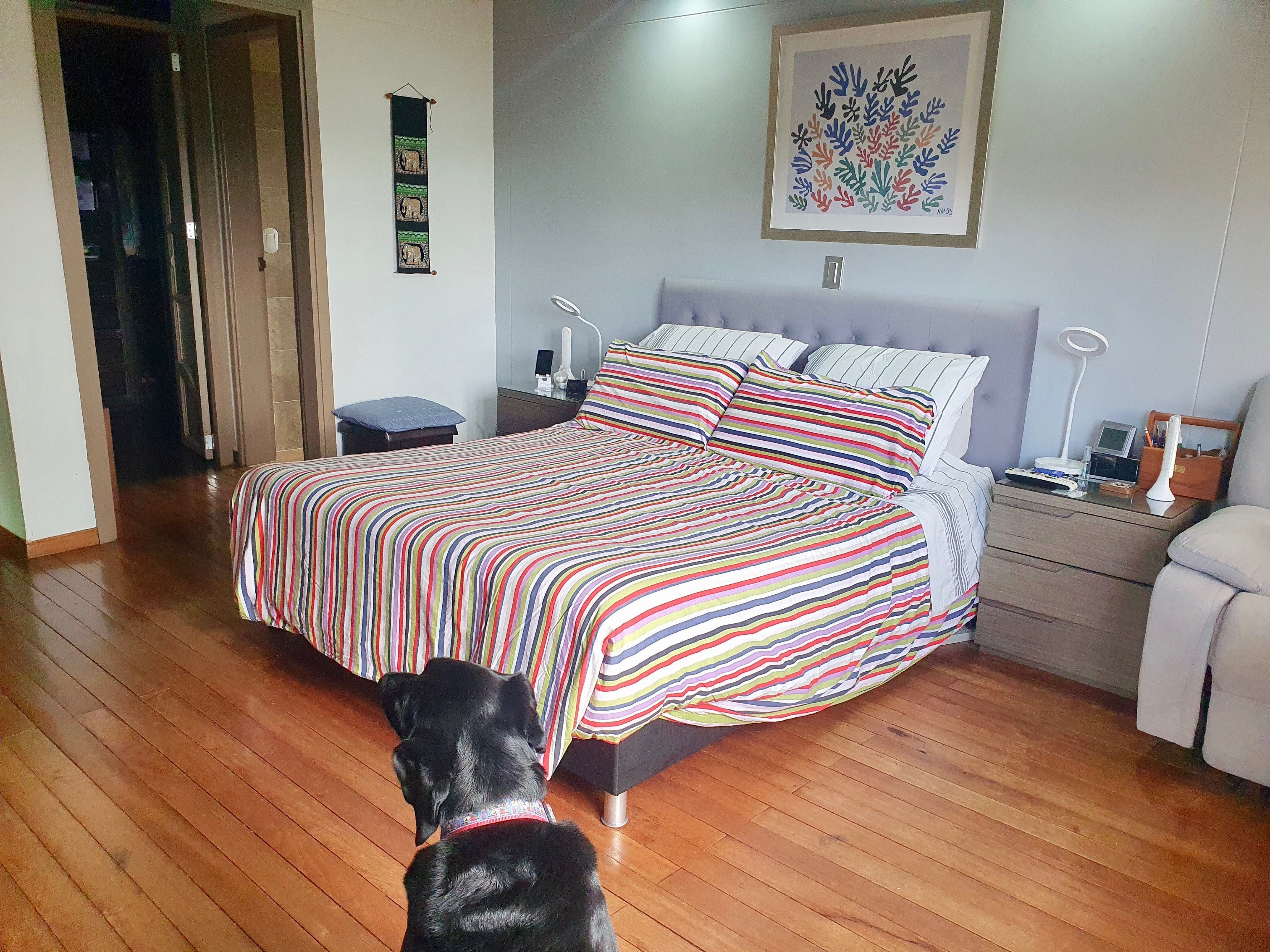 Finca en venta en El Tambo, La Ceja, 9400 m² · foto 19 de 24