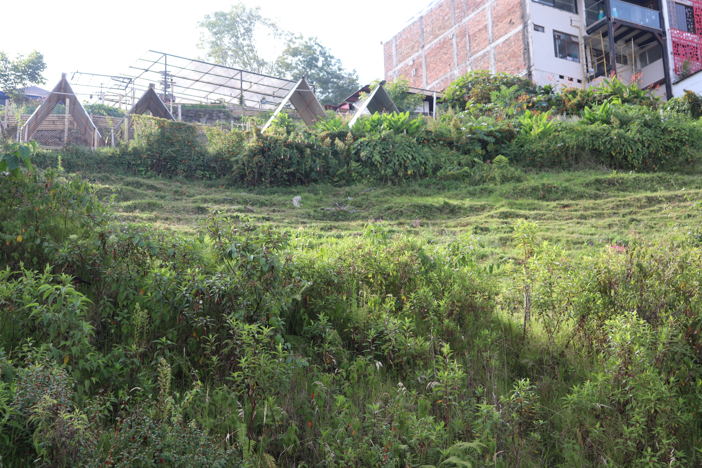 Lote en venta en Milan, Manizales, 5100 m² · foto 2 de 12