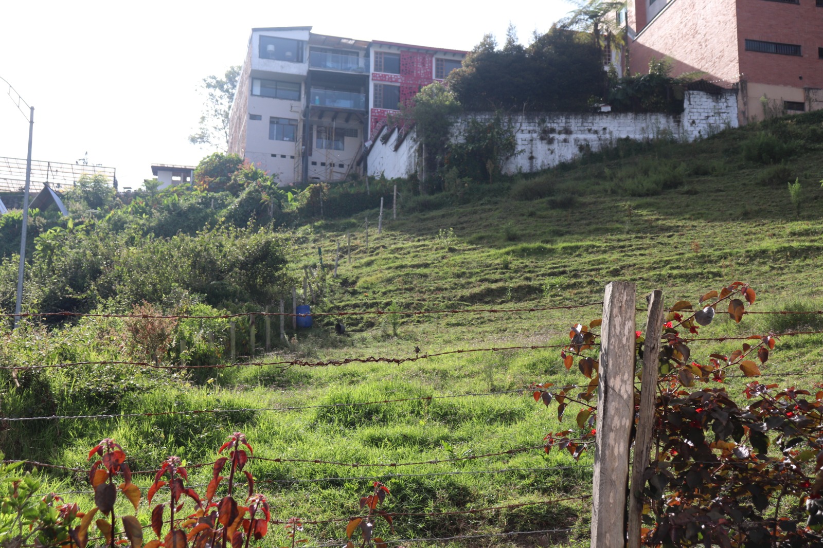 Lote en venta en Milan, Manizales, 5100 m² · foto 9 de 12