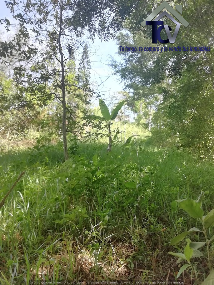 Lote en venta en Ruitoque Bajo, Floridablanca, 600 m² · foto 5 de 9