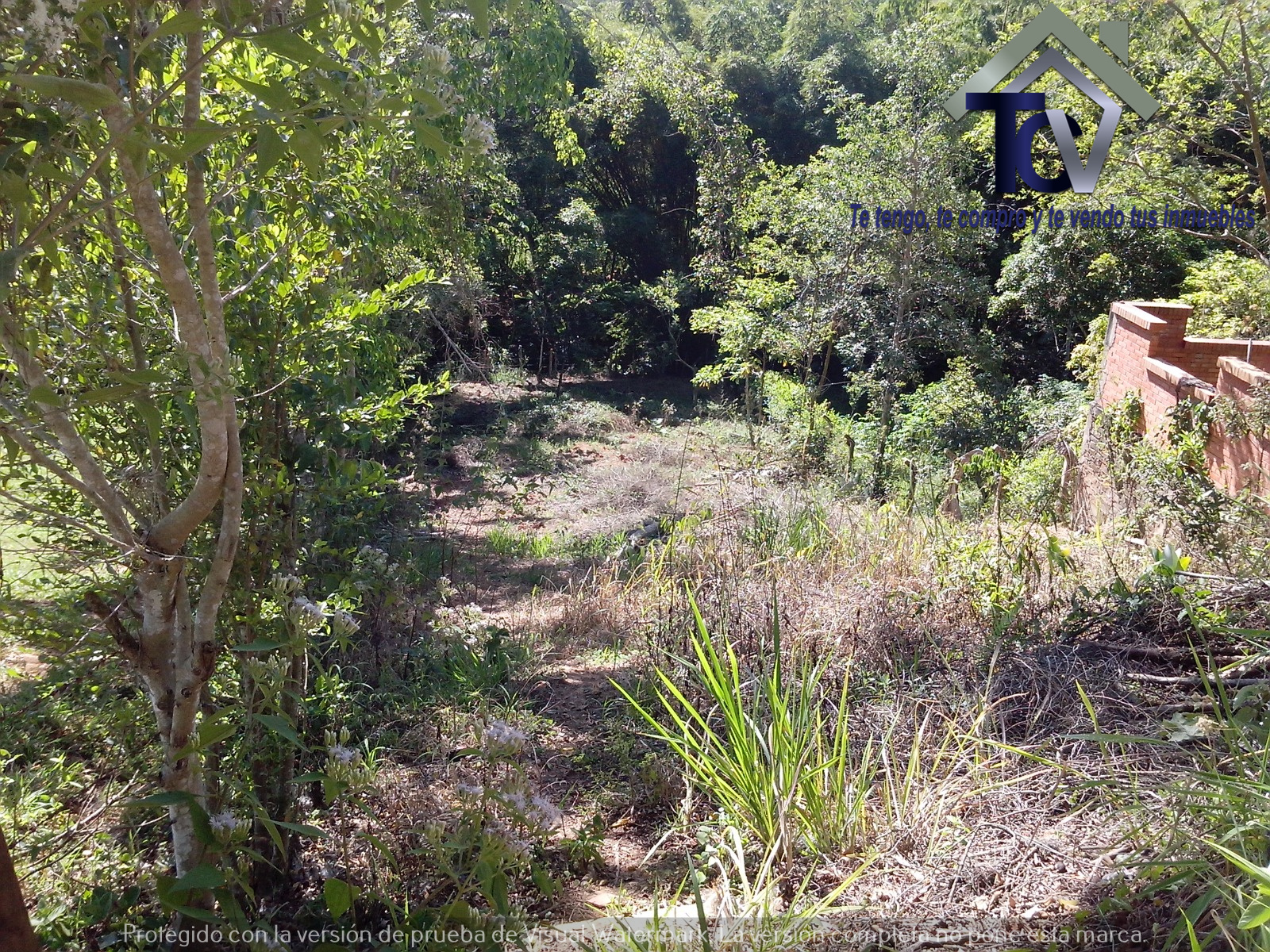 Lote en venta en Ruitoque Bajo, Floridablanca, 600 m² · foto 9 de 9
