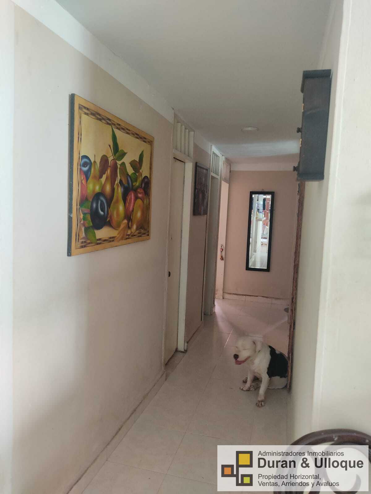 Local en arriendo en El Golf, Barranquilla, 251 m² · foto 19 de 20