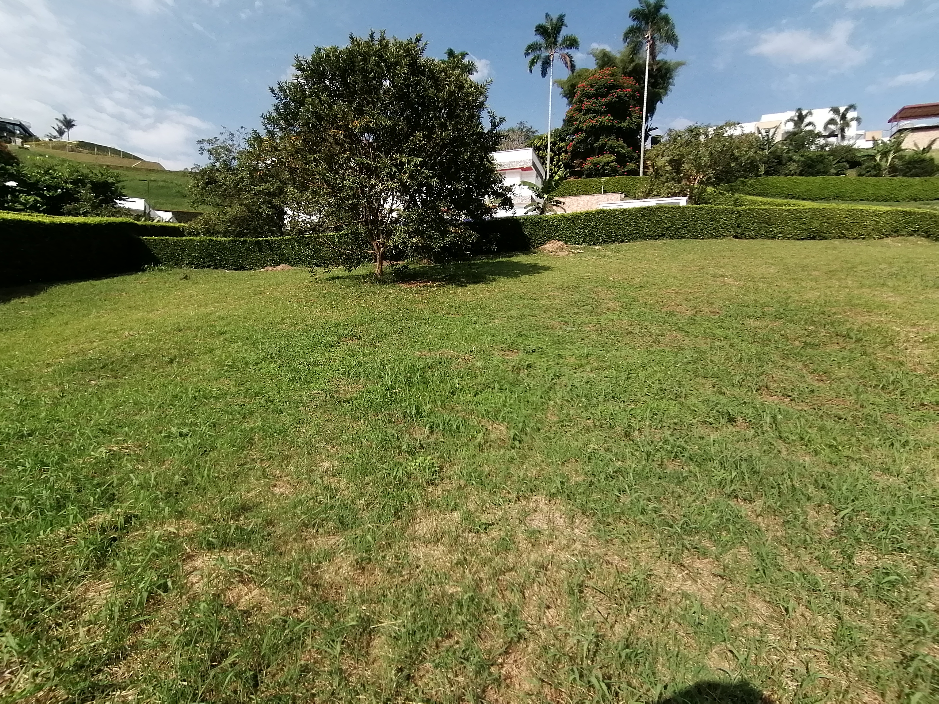 Lote en venta en El Rosario, Manizales, 1554 m² · foto 7 de 7