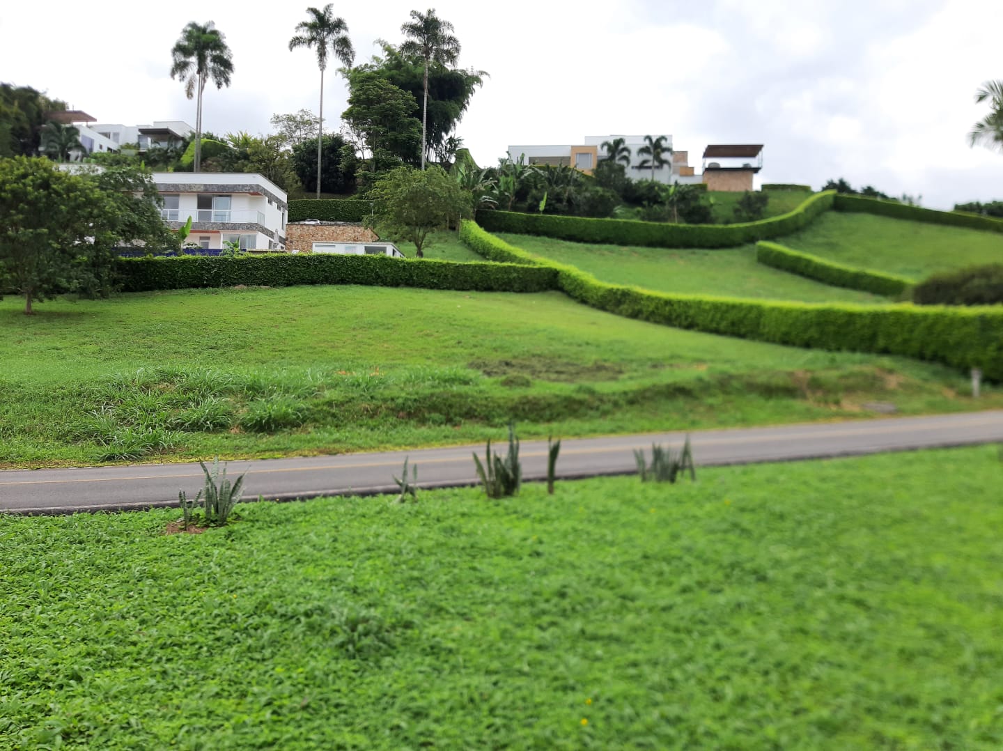 Lote en venta en El Rosario, Manizales, 1554 m² · foto 3 de 7