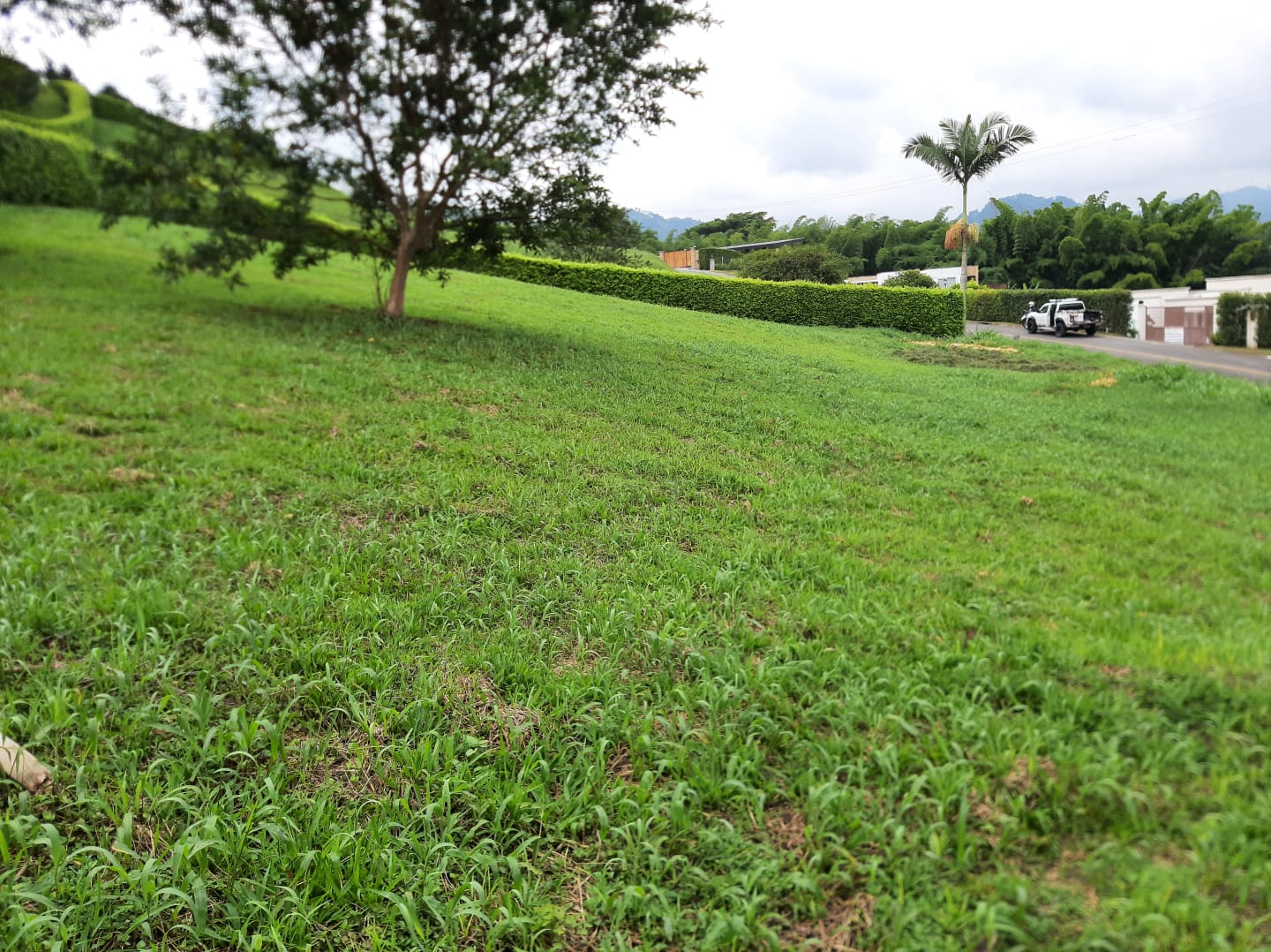Lote en venta en El Rosario, Manizales, 1554 m² · foto 4 de 7