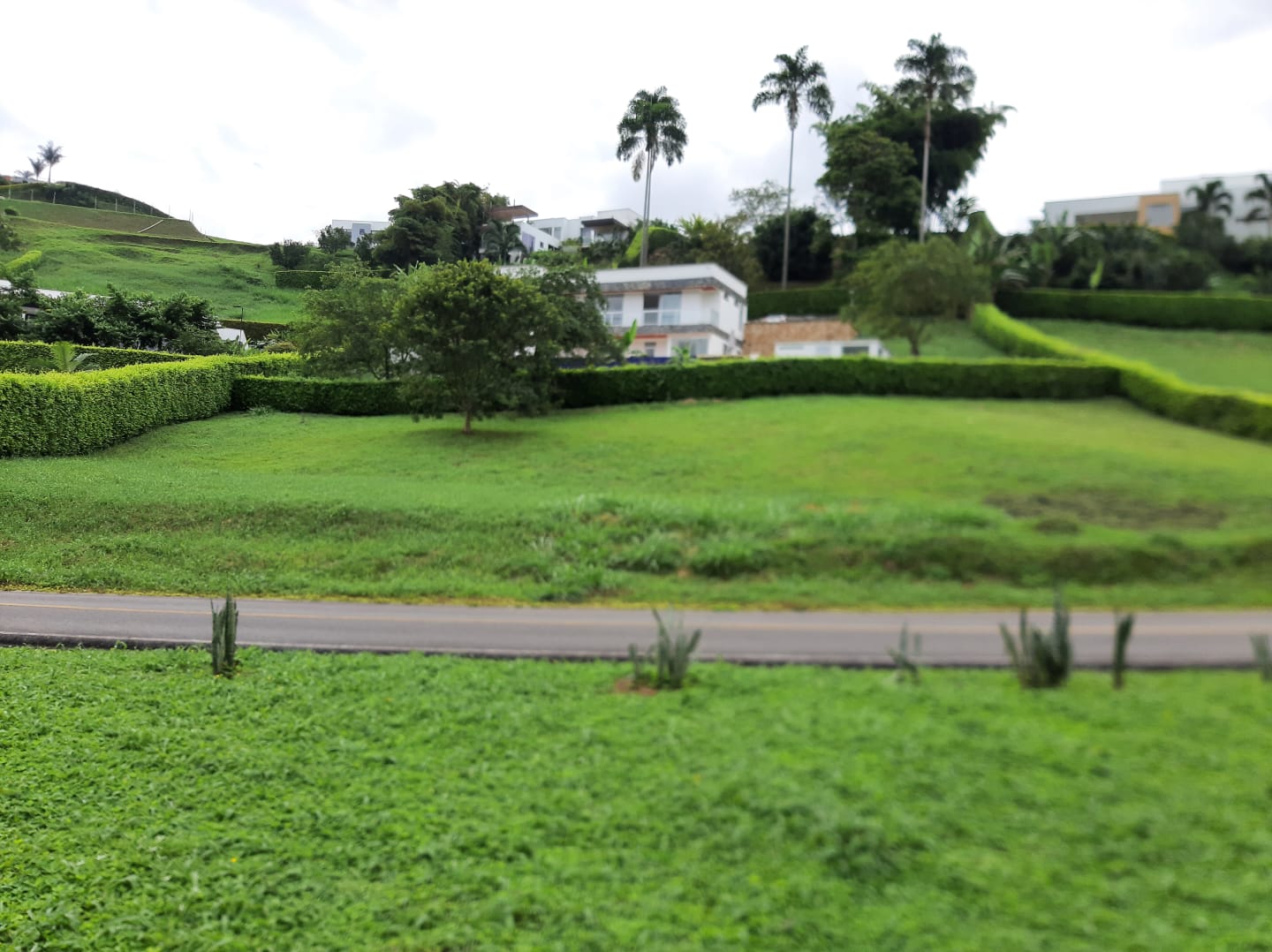 Lote en venta en El Rosario, Manizales, 1554 m² · foto 5 de 7