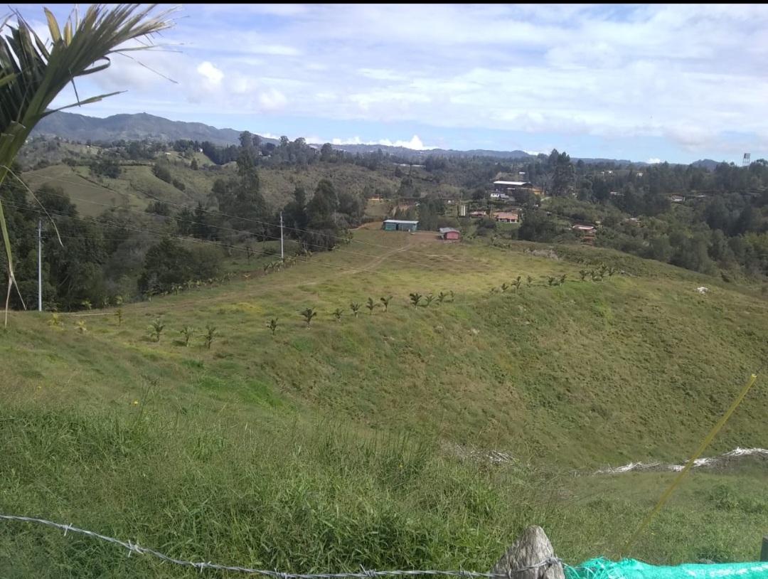 Lote en venta en El Porvenir, Rionegro, 85 m² · foto 10 de 12