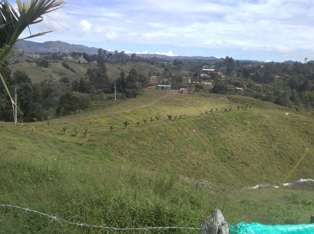 Lote en venta en El Porvenir, Rionegro, 85 m² · foto 3 de 12