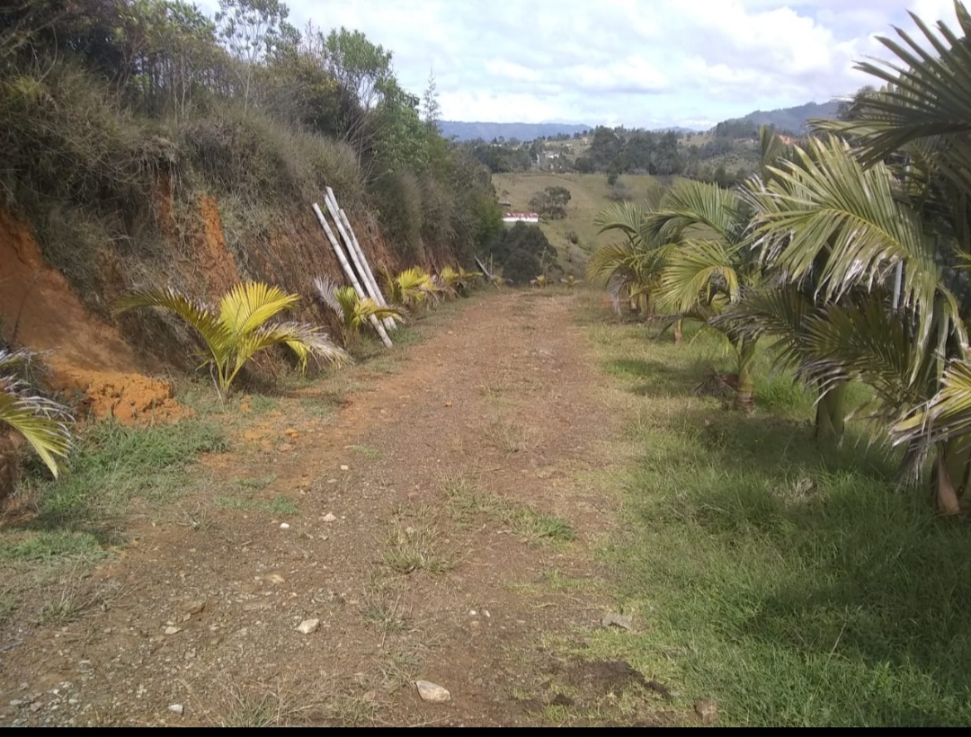 Lote en venta en El Porvenir, Rionegro, 85 m² · foto 8 de 12