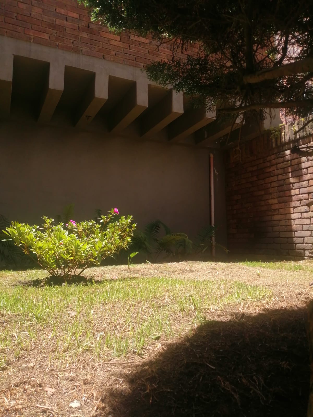 Apartamento de 3 alcobas en venta en Bosque De Pinos, Bogotá, 255 m² · foto 19 de 24