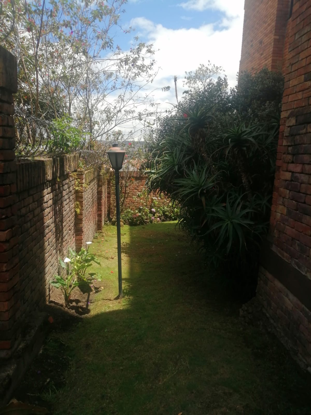 Apartamento de 3 alcobas en venta en Bosque De Pinos, Bogotá, 255 m² · foto 20 de 24