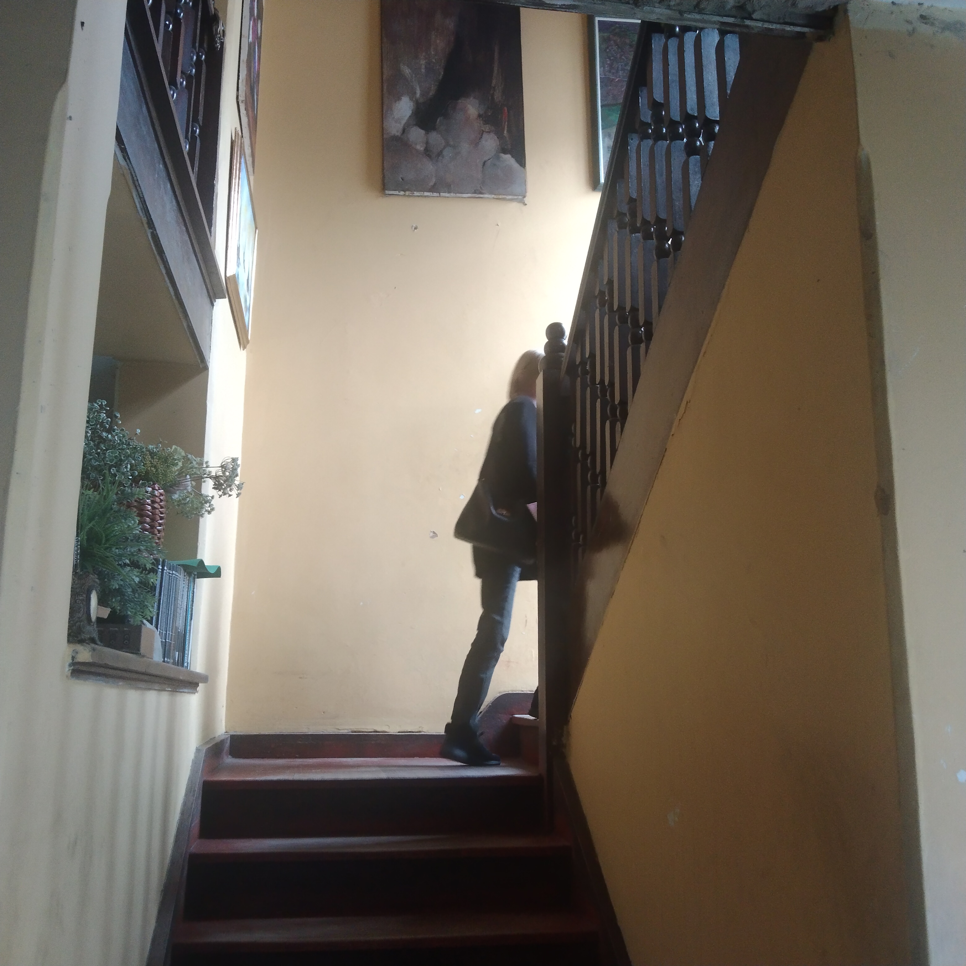 Casa de 4 alcobas en venta en Teusaquillo, Bogotá, 380 m² · foto 23 de 24