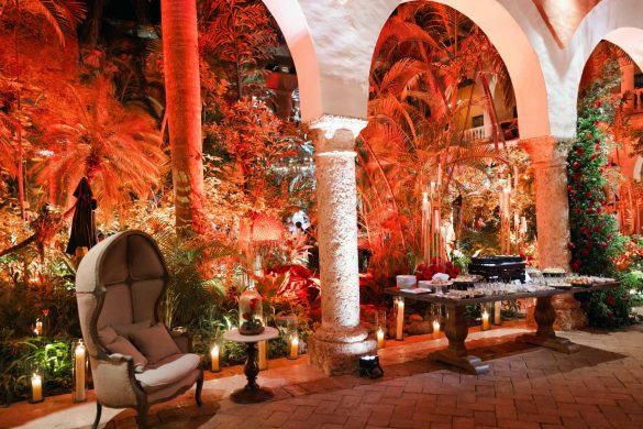 mice-exclusive-offer