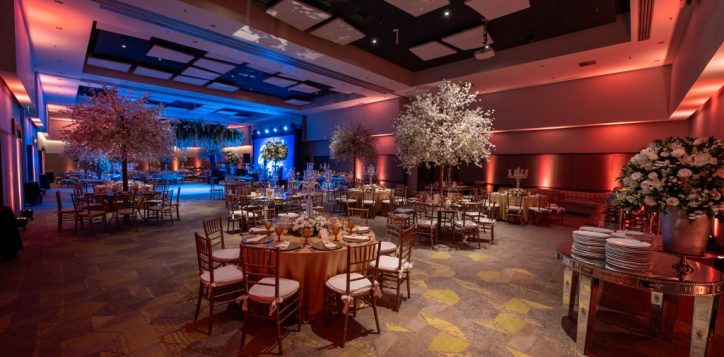 whatsapp-image-2024-07-05-at-14-31-29