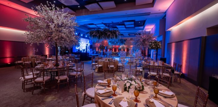 whatsapp-image-2024-07-05-at-14-31-28-1