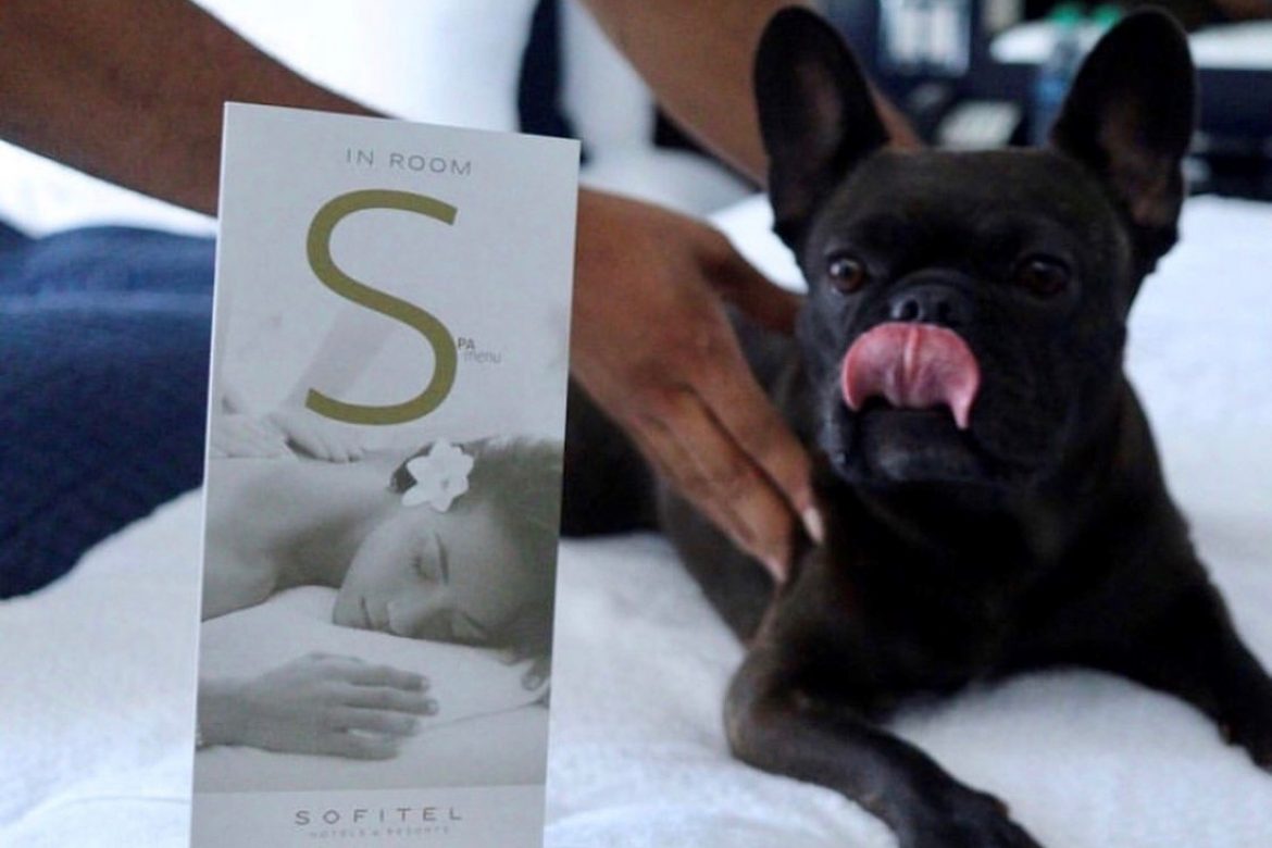 Sofitel Chicago Magnificent Mile Top Reasons To Explore