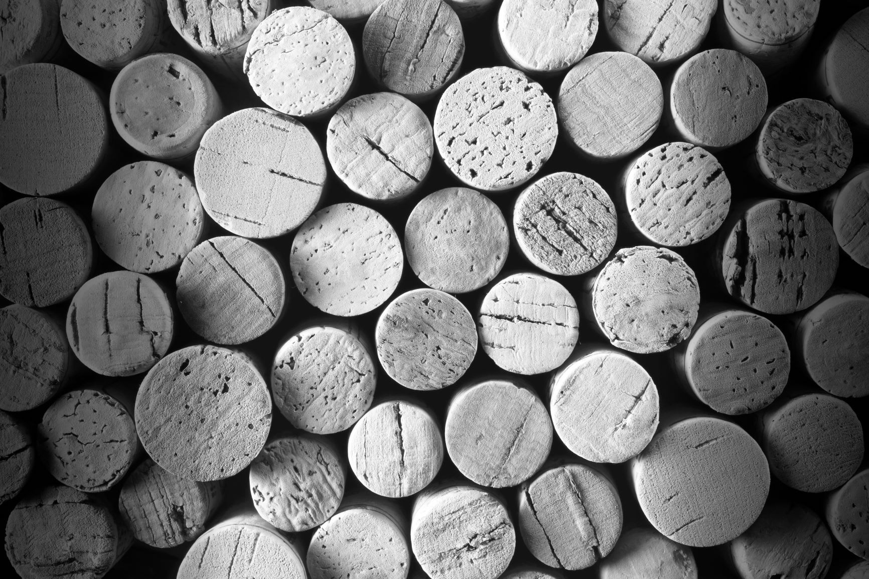 Photo of the hotel Sofitel Chicago Magnificent Mile: Corks gettyimages 182145577 rgb med