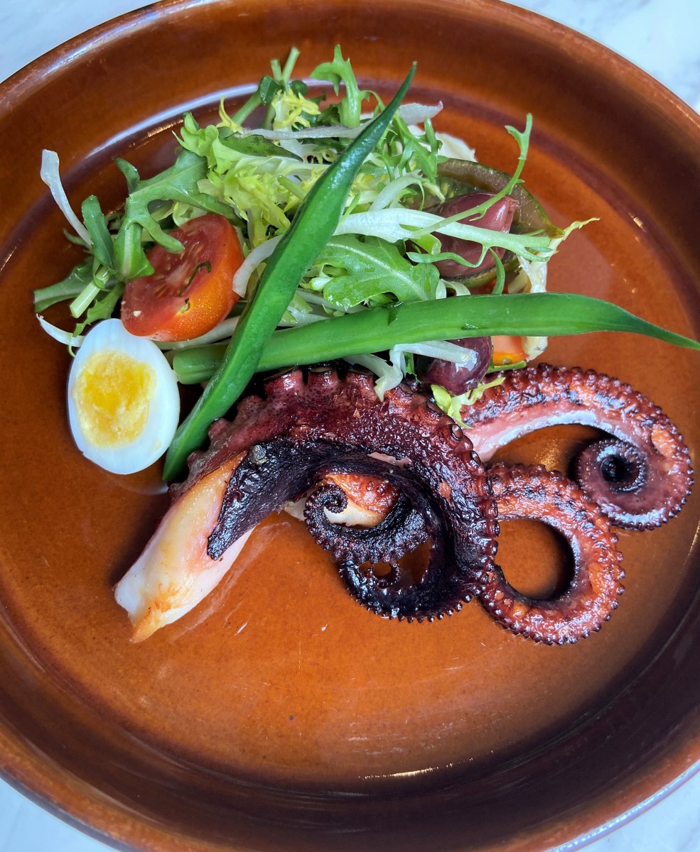 Photo of the hotel Sofitel Chicago Magnificent Mile: Octopusnicoiseenhanced