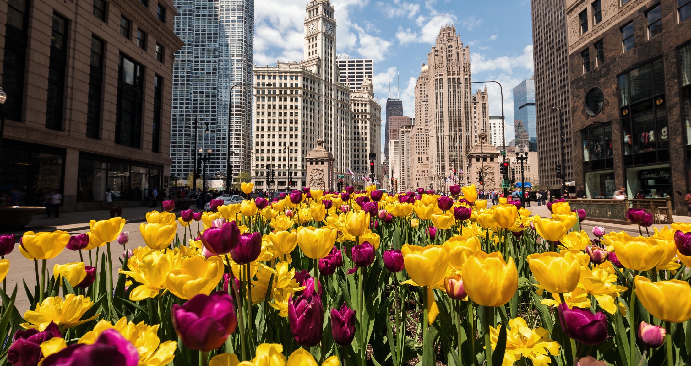 Photo of the hotel Sofitel Chicago Magnificent Mile: Shutterstock 419035912 cropped