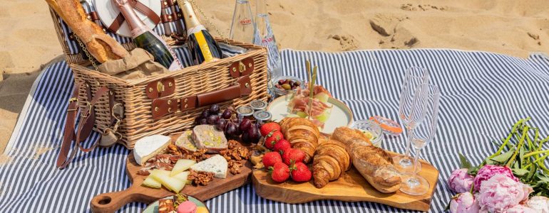 PICNIC EXPERIENCE IN CHICAGO