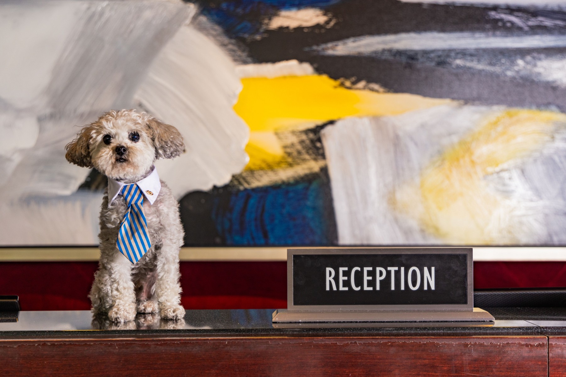 Photo of the hotel Sofitel Chicago Magnificent Mile: 14