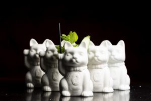Photo of the Kitori kitty cocktail