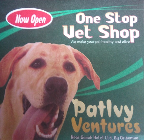 pat dog shop