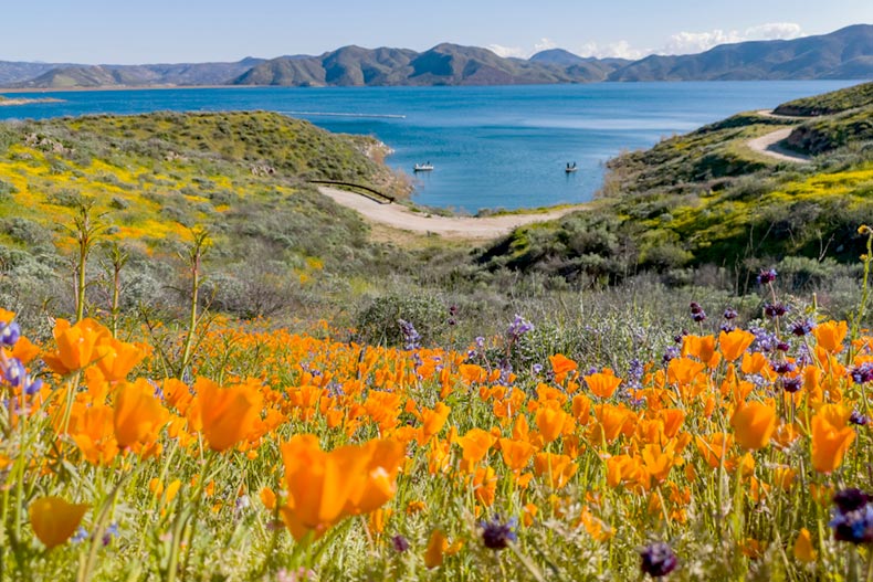 Discovering the 55+ Communities in Hemet, California 55places