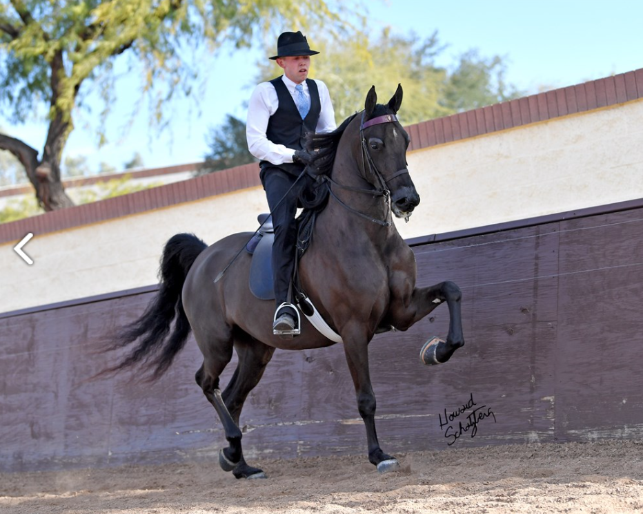 MASTER N COMMANDHEIR