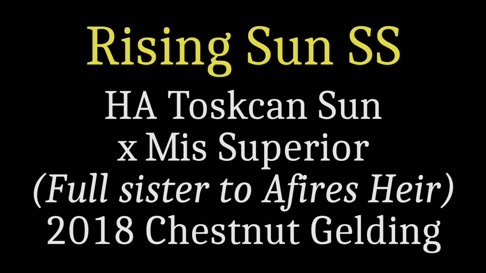 RISING SUN SS