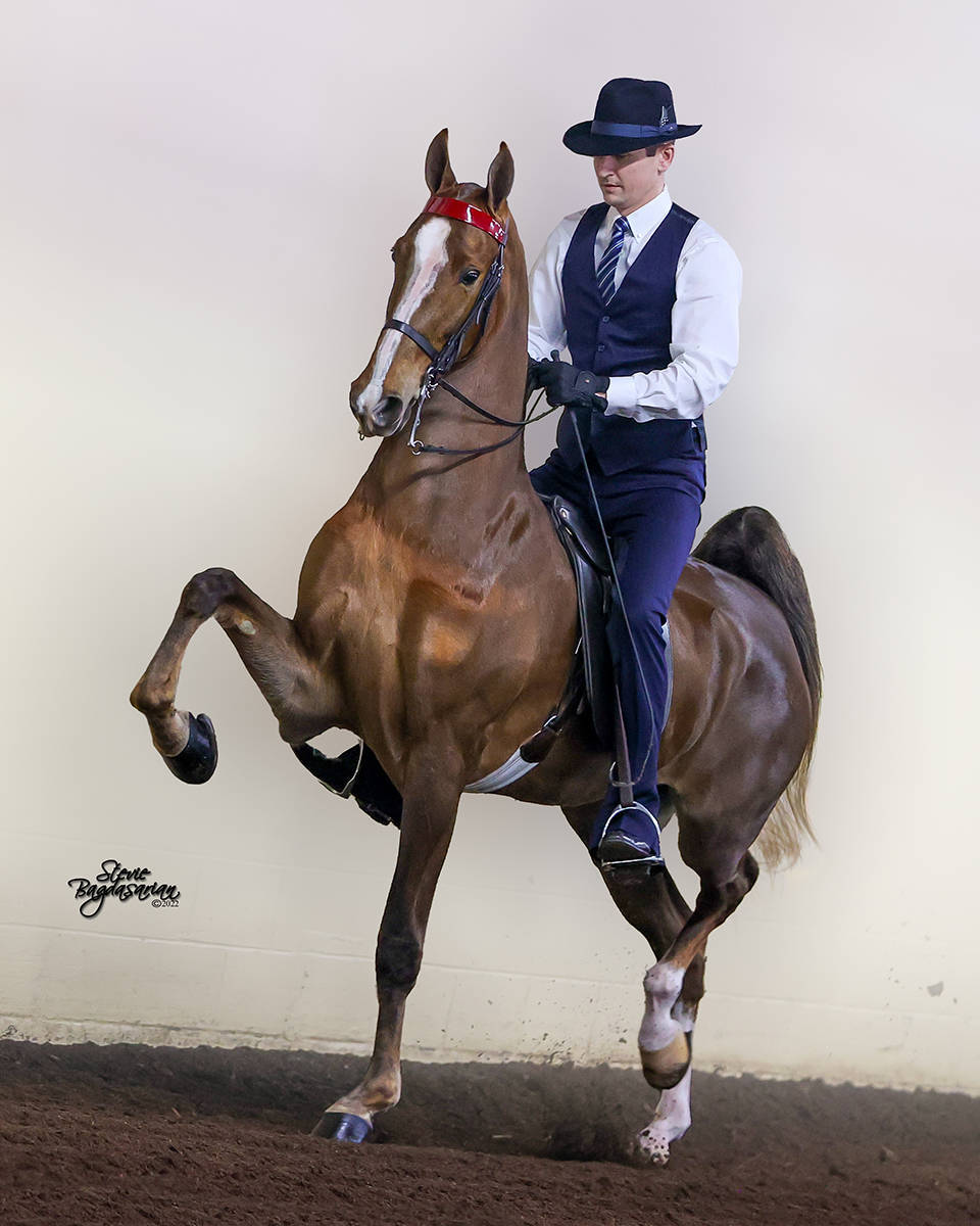 Courtesy of Stevie B Photos