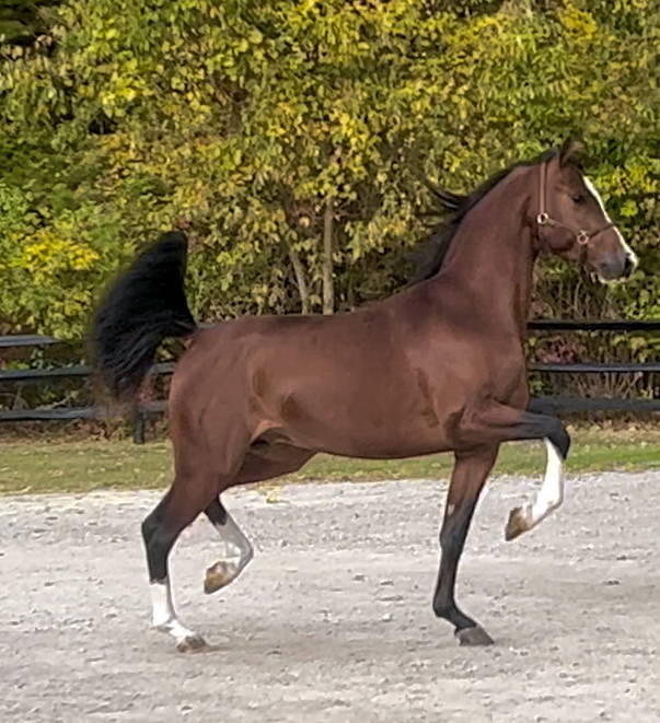 IN Famy as a 3 year old in 2022.