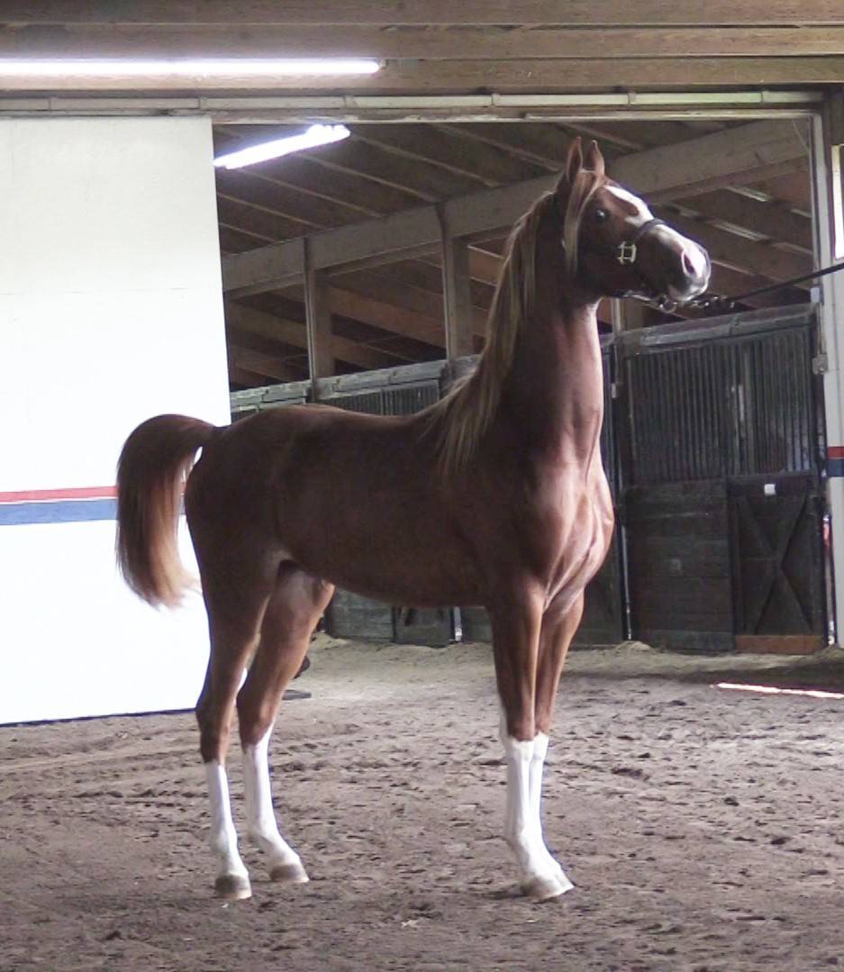 IN Lightning as a 2-year-old in 2023.