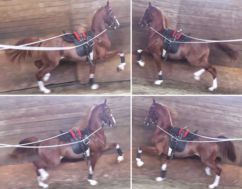 2 year old in lines in 2023