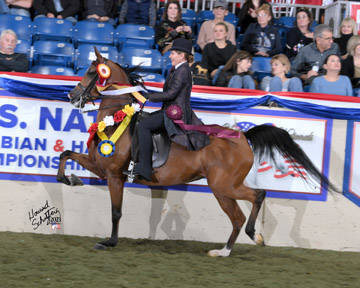 (USN RC) ONE TRUE LOVE