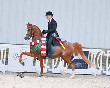 (R12 CH) HNL INSPIRED LOVE