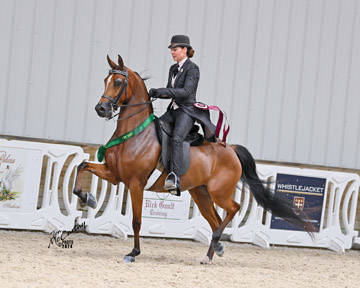 (R12 TOP 3) KT LASTING LOVE