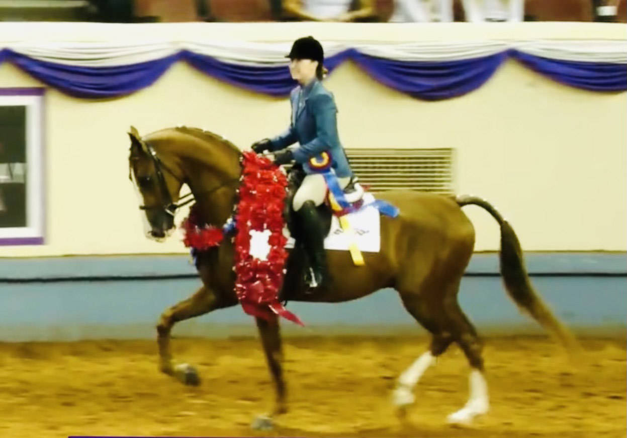 (YNL CH) INCANTATION SS+