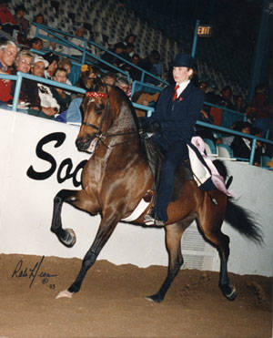 Renee is an HL RAISA (Reference photo) daughter