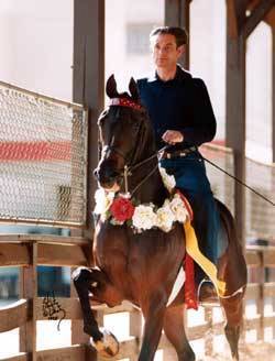 Evalina V- Reserve National Champion English