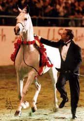 Tim and National Champion Halter Mare - Errica.