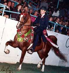 Tim and National Champion Hucklebey Berry.