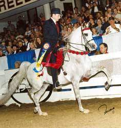 Tim and National Champion A Temptation.
