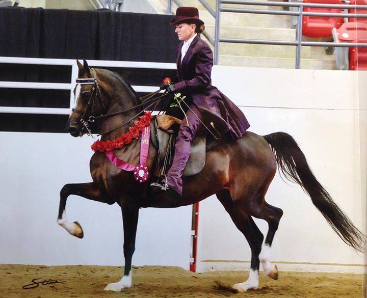 NOBLE FINERY ~ 2014 Region 17 Champion