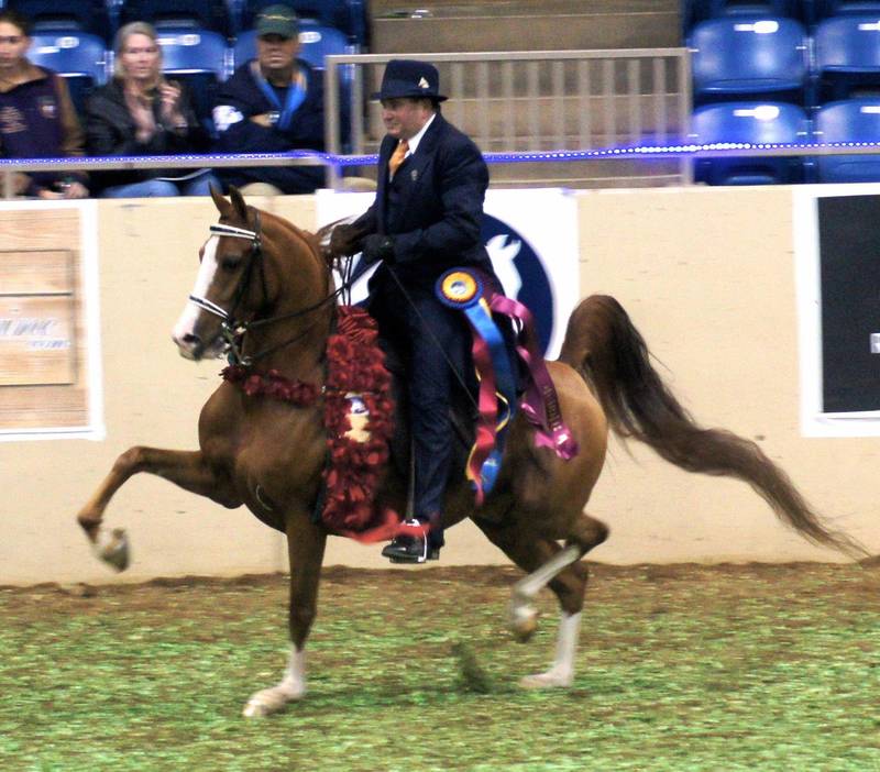 DEFYING GRAVITY RGS+/ (x MA Nobella)