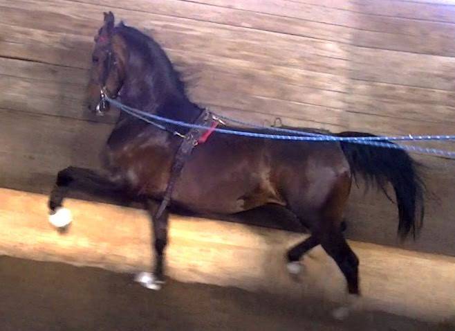 AFIRES SOLDIER++++//