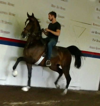 AFIRES SOLDIER++++//