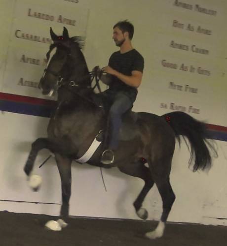 AFIRES SOLDIER++++//